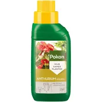 Pokon Anthurium voeding | | 250 ml (Vloeibaar)