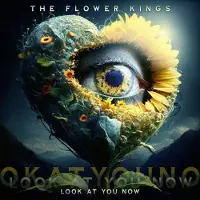 Sony music The Flower Kings - Look At You Now (CD)