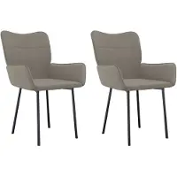 vidaXL Eetkamerstoelen 2 st fluweel lichtgrijs