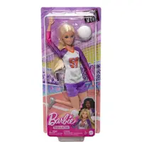 Barbie Mtm Vllyball Ndv Doll Roze