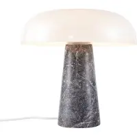 DFTP Glanzend | Burenlamp | Grijs