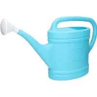 Forte Plastics Lichtblauwe tuin planten gieter met broeskop 9 liter - Gieters