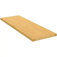 vidaXL Wandschap 60x20x1,5 cm bamboe