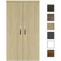 Sanicare kolomkast met chromen greep 67x160x32cm belluno