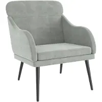 vidaXL Fauteuil 63x76x80 cm fluweel lichtgrijs