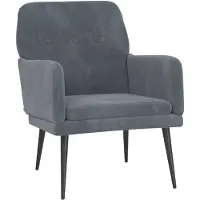 vidaXL Fauteuil 62x79x79 cm fluweel donkergrijs
