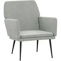 vidaXL Fauteuil 62x79x79 cm fluweel lichtgrijs
