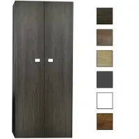 Sanicare Q5 kolomkast 67x160x32cm belluno