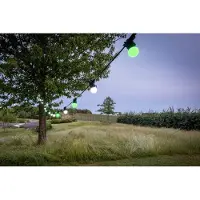 Happy Lights HappyLights lichtsnoer buiten [Outdoor] Lucky Leaf - 50 LED's - 25m
