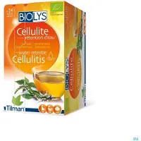 Biolys Groene Thee - Orthosifon 24 St Filterzakje