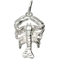 MOOYE ® - Collectie Zilveren Sterrenbeeld Kreeft ketting hanger - groot