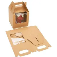 Packlinq Kraft Doosjes Met Handvat En Venster 10.2x10.2x10.2 cm