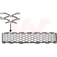 VAN WEZEL 1614599 Ventilatiegrille, bumper