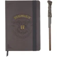 Harry Potter Warner Bros Schrijfset - Toverstaf Pen en Boekje Hogwarts