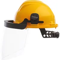 Climax 436 I PC visor clr incl ylw helm