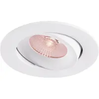 THORGEON LED Downlighter Ø83mm | 8W 1800K/3000K 520Lm | 918/930 IP44 DALI Dimbaar