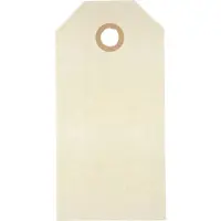 Packlinq Manilla-labels, afm 5x10 cm, 250 gr, crème, 20 stuk/ 1 doos