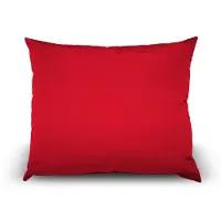 In the Mood Rood Plofkussen  60 x 50 cm  Gemaakt van All Weather Olefin