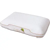 TED Argan Deluxe Aero traagschuim hoofkussen | 60x40x12 cm | Ergonomisch kussen | Argan Olie | Gezonde nachtrust