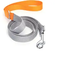 Nobleza Honden leiband - Puppy riem - Polyester - Lengte 120 cm - Hondenriem - Riem hond - Fluorescerend - Grijs / Blauw