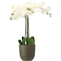 Mica Decorations Orchidee kunstplant wit - 75 cm - inclusief bloempot olijfgroen mat - Kunstbloemen in pot