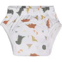 Blush & Blossom Dinosaurus 24-36M Badstof Oefenbroekje TR-BB443452