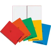 Aurora - Schrift A4 120blz ruit 5mm spiraal assorti | 10 stuks