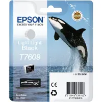 Epson Inktcartridge C13T76094010 Licht licht-zwart