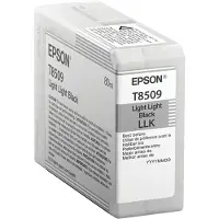 Epson Inktcartridge T8509 Licht licht-zwart