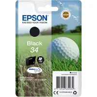 Epson Singlepack Black 34