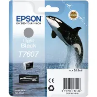 Epson T7607 (C13T76074010) Inktcartridge Licht-zwart