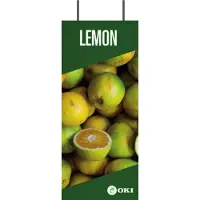 OKI Fastdisplay, Printer accessoires