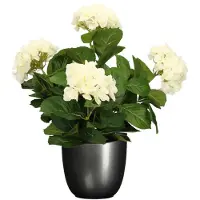 Mica Decorations Hortensia kunstplant/kunstbloemen 45 cm - wit - in pot titanium grijs glans - Kunstplanten