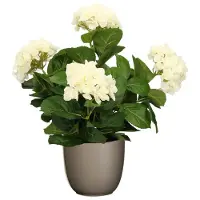 Mica Decorations Hortensia kunstplant/kunstbloemen 45 cm - wit - in pot taupe mat - Kunstplanten