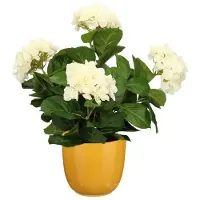 Mica Decorations Hortensia kunstplant/kunstbloemen 45 cm - wit - in pot okergeel glans - Kunstplanten
