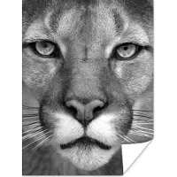 PosterMonkey Poster Panter - Wilde dieren - Zwart - Wit - 60x80 cm