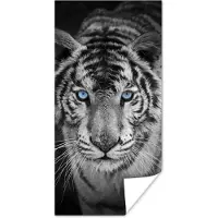 PosterMonkey Poster Dieren - Tijger - Zwart wit - Ogen - Blauw - 60x120 cm