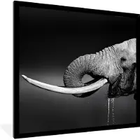 PosterMonkey Fotolijst incl. Poster - Olifant - Water - Dieren - Zwart - Wit - 40x40 cm - Posterlijst