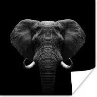 PosterMonkey Poster Dieren - Olifant - Portret - Zwart - Wit - 30x30 cm