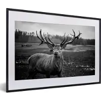 PosterMonkey Fotolijst incl. Poster Zwart Wit- Dieren - Hert - Gewei - Zwart wit - Natuur - 60x40 cm - Posterlijst