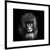PosterMonkey Fotolijst incl. Poster Zwart Wit- Aap - Dieren - Ogen - Bruin - Zwart wit - 40x40 cm - Posterlijst