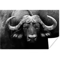PosterMonkey Poster Dieren - Buffalo - Zwart - Wit - Portret - 60x40 cm