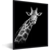 PosterMonkey Fotolijst incl. Poster - Giraffe - Wilde dieren - Zwart - Wit - Portret - 30x40 cm - Posterlijst