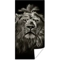 PosterMonkey Poster Leeuw - Dieren - Portret - Wild - Zwart wit - 20x40 cm
