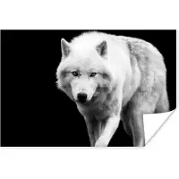 PosterMonkey Poster Wolf - Dier - Zwart - Wit - 120x80 cm