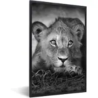 PosterMonkey Fotolijst incl. Poster - Wilde dieren - Leeuw - Natuur - Zwart - Wit - 40x60 cm - Posterlijst