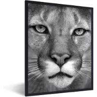 PosterMonkey Fotolijst incl. Poster - Panter - Wilde dieren - Zwart - Wit - 60x80 cm - Posterlijst
