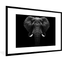 PosterMonkey Fotolijst incl. Poster - Dieren - Olifant - Portret - Zwart - Wit - 90x60 cm - Posterlijst