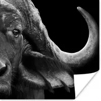 PosterMonkey Poster Buffalo - Dieren - Zwart - Wit - 30x30 cm