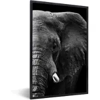 PosterMonkey Fotolijst incl. Poster - Dieren - Olifant - Wild - Zwart - Wit - 60x90 cm - Posterlijst